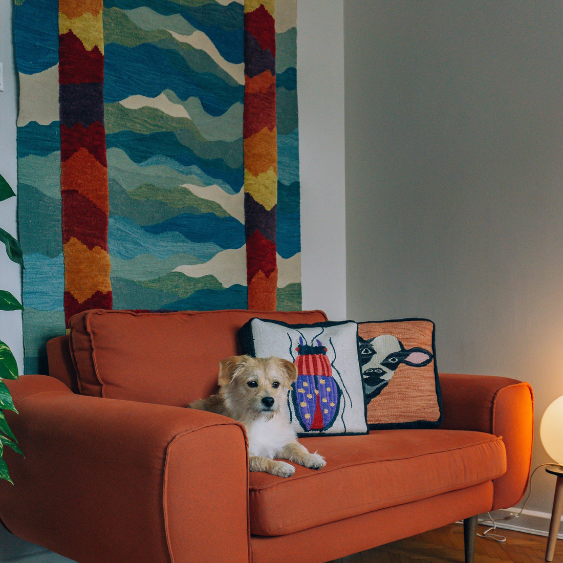 Ev Hediyesi Alırken Düşünülmemiş Ama Harika 4 Ürün!